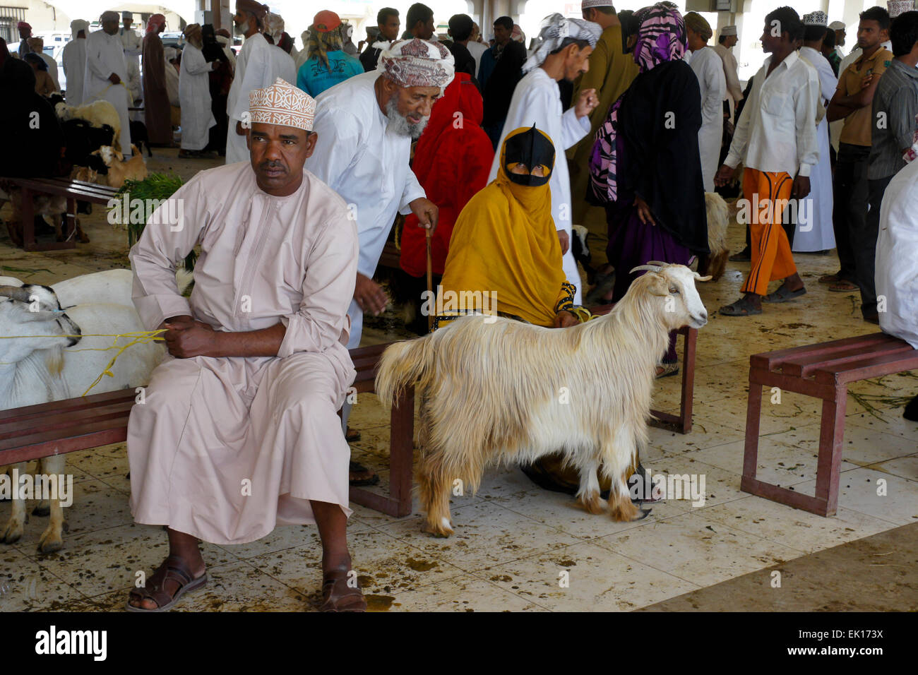 Bedu (bédouins) personnes l'achat et la vente de chèvres à Sinaw en marché des animaux, de l'Oman Banque D'Images