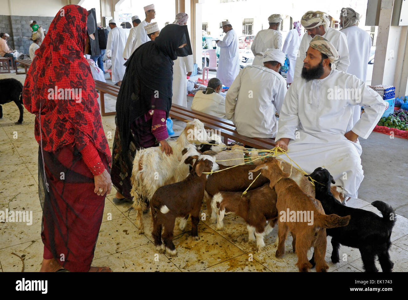 Bedu (bédouins) personnes l'achat et la vente de chèvres à Sinaw en marché des animaux, de l'Oman Banque D'Images