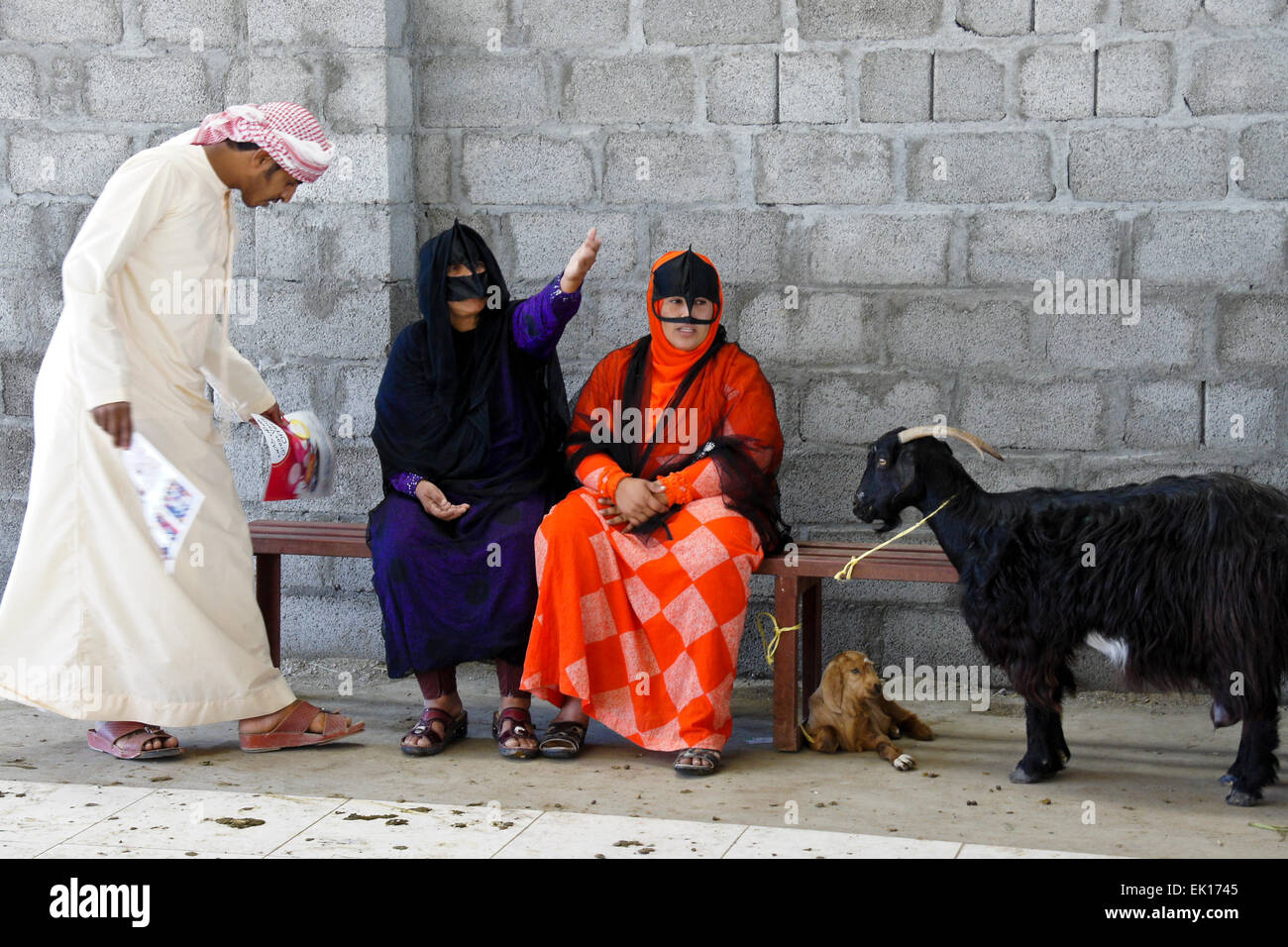 Les femmes bédouines (Bedu) chèvres au marché des animaux à vendre à Sinaw, Oman Banque D'Images
