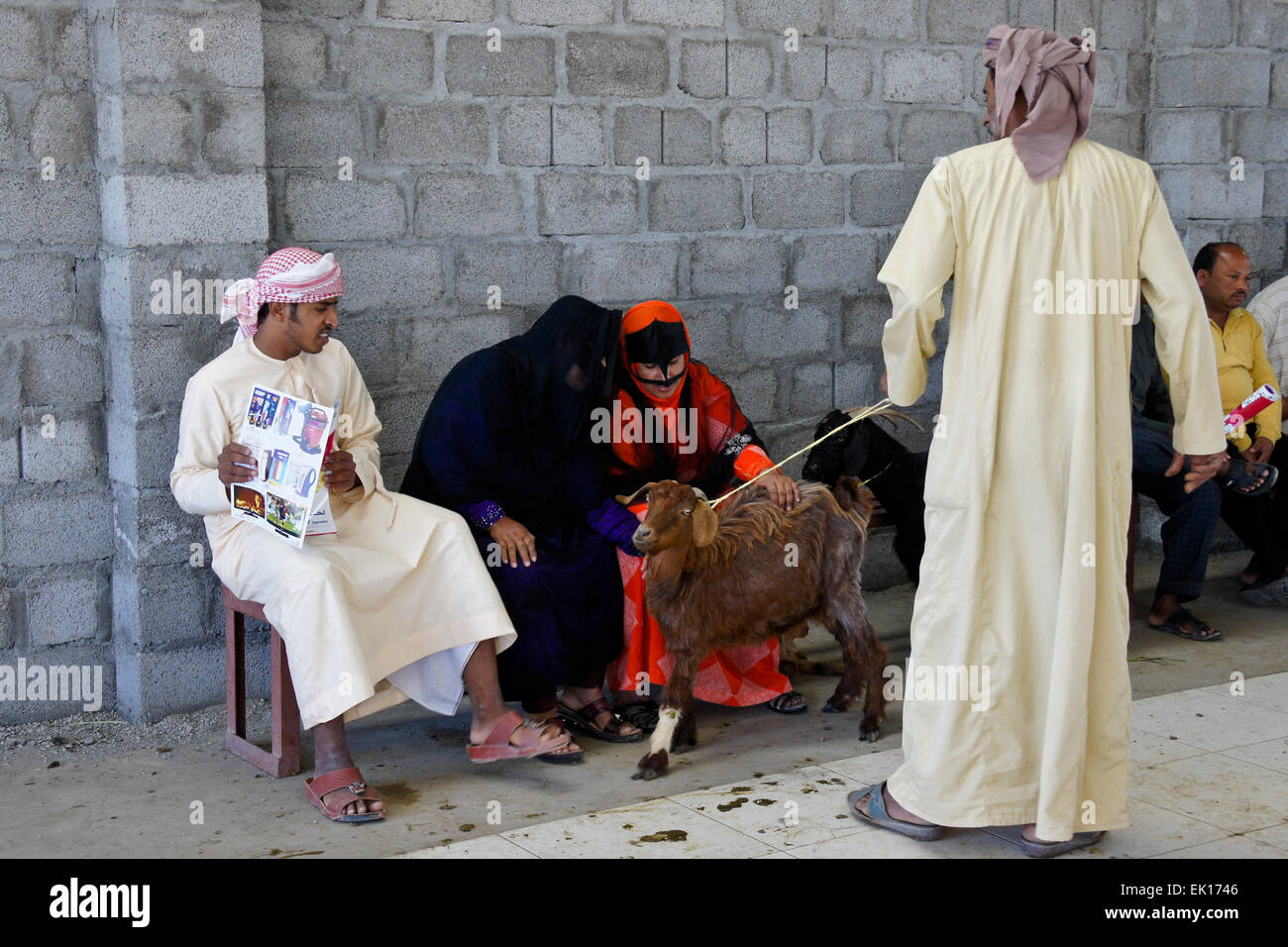 Les femmes bédouines (Bedu) chèvres au marché des animaux à vendre à Sinaw, Oman Banque D'Images