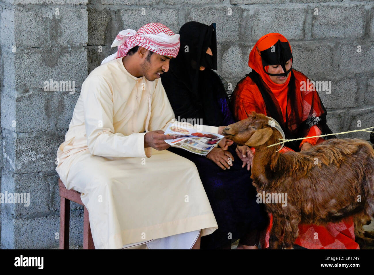 Les femmes bédouines (Bedu) chèvres au marché des animaux à vendre à Sinaw, Oman Banque D'Images