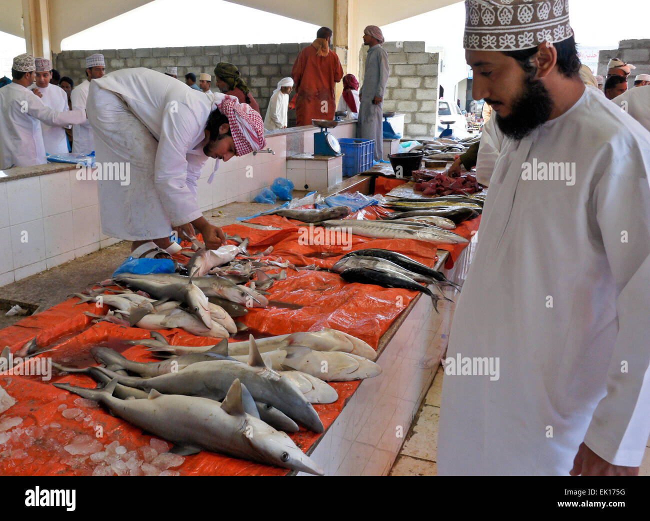 Marché de poisson de Sinaw, Oman Banque D'Images