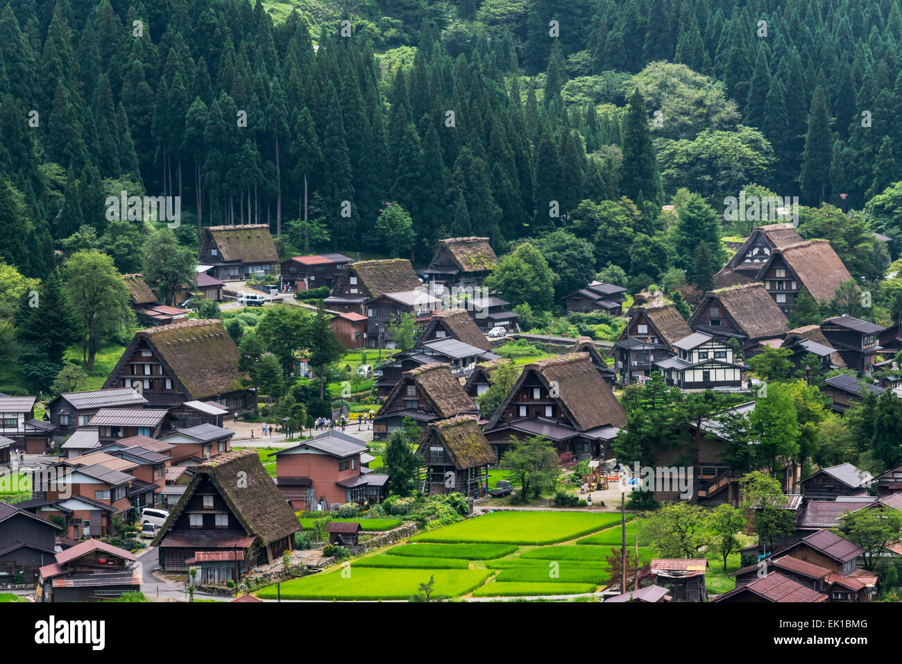 Gassho-zukuri maisons et terres agricoles de la montagne, Shirakawa-go, préfecture de Gifu, Japon Banque D'Images