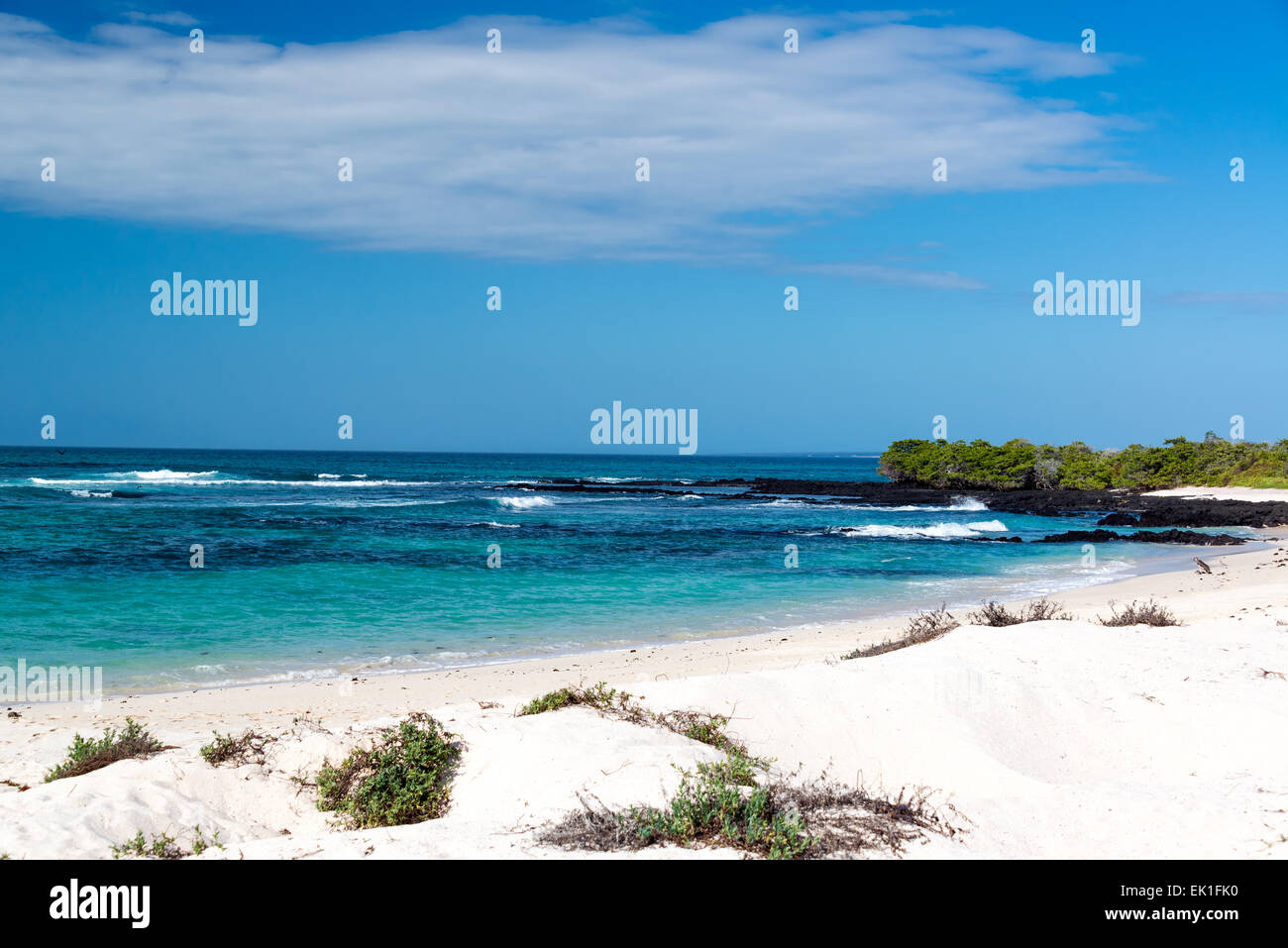 Belle plage de sable blanc de Bacha sur Santa Cruz dans les îles Galapagos en Équateur Banque D'Images