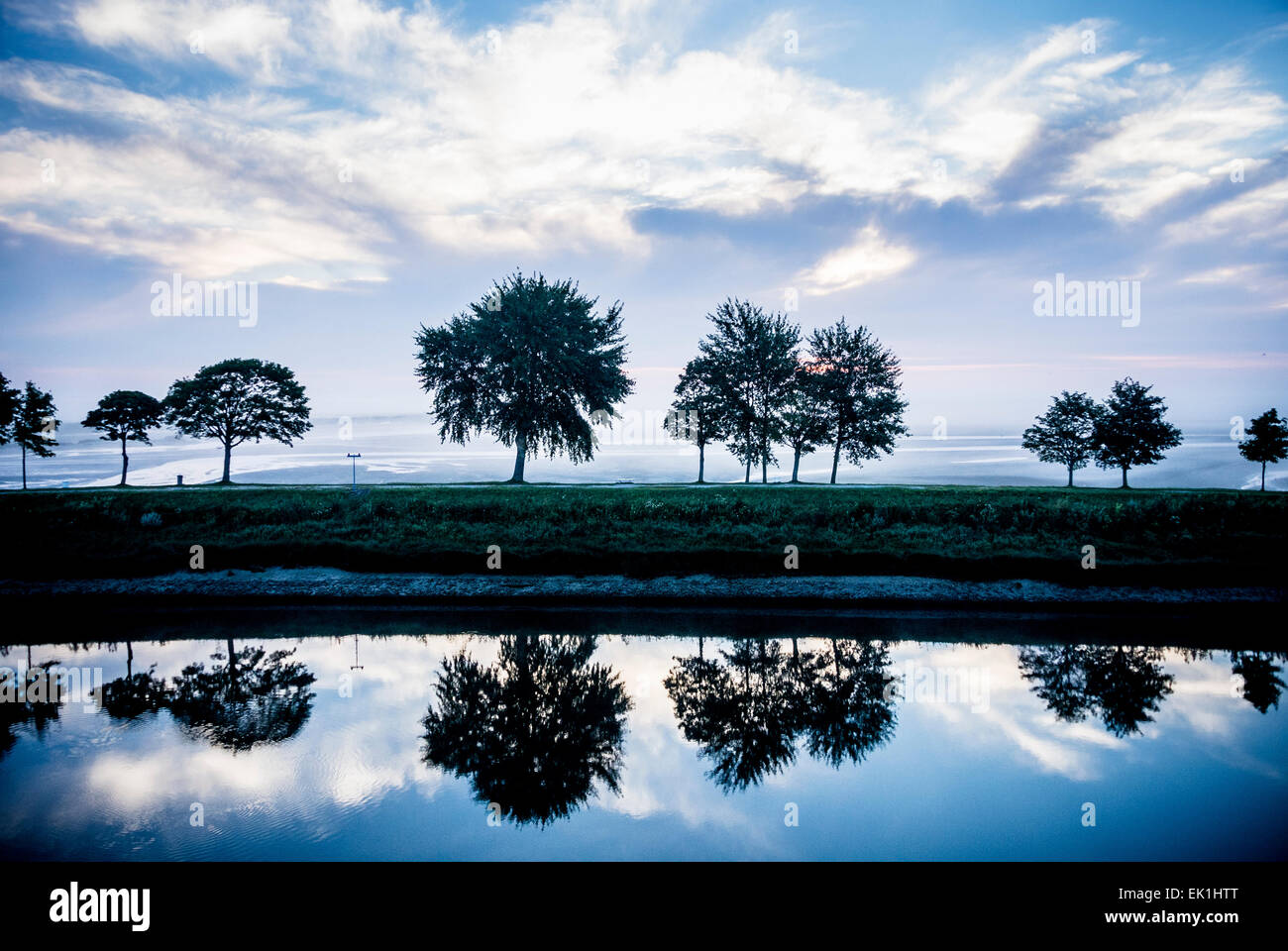 arbres sur la digue Banque D'Images