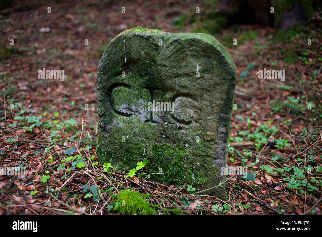 Le "Pont brûler Stones' marquant les anciennes frontières entre les propriétaires fonciers dans la vallée de la Derwent, dans le comté de Durham. Banque D'Images