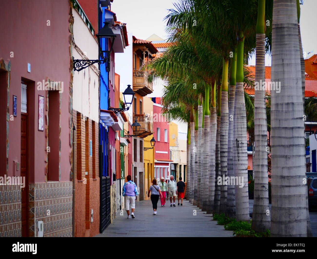 Espagne iles canaries Ténérife puerto de la Cruz trimestre Pêche Banque D'Images