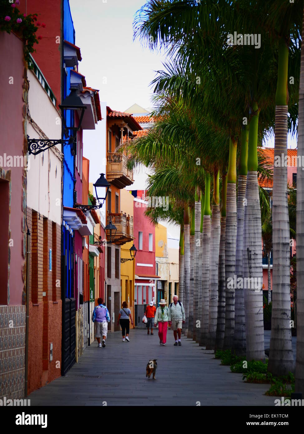Espagne iles canaries Ténérife puerto de la Cruz trimestre Pêche Banque D'Images