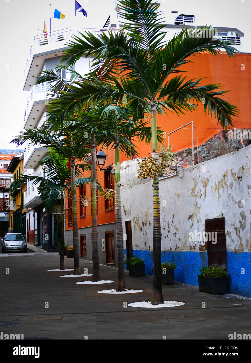 Espagne iles canaries Ténérife puerto de la Cruz trimestre Pêche Banque D'Images