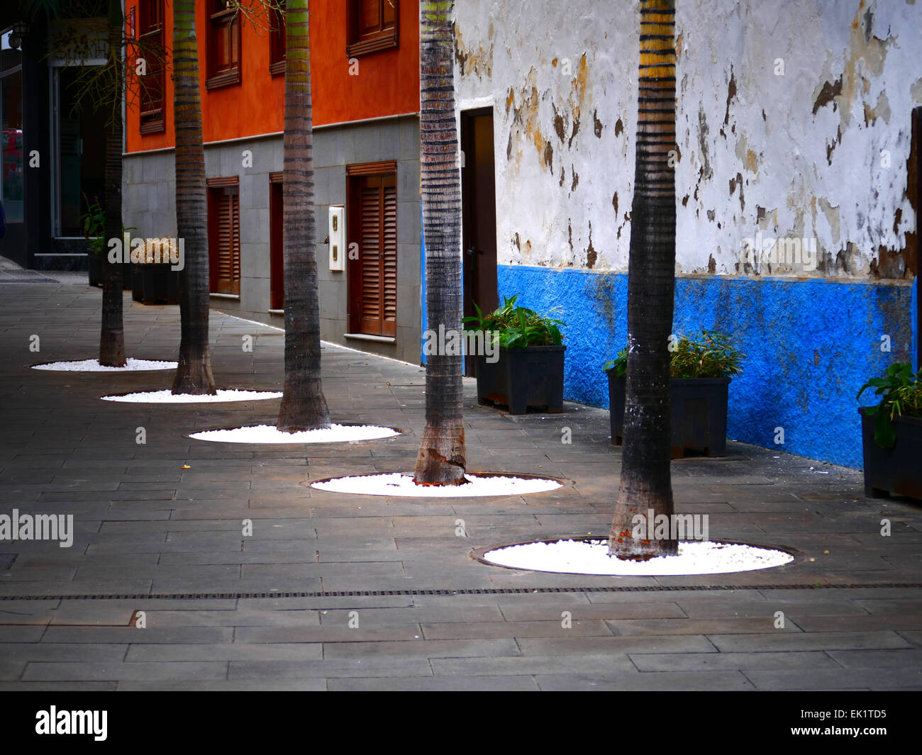 Espagne iles canaries Ténérife puerto de la Cruz trimestre Pêche Banque D'Images