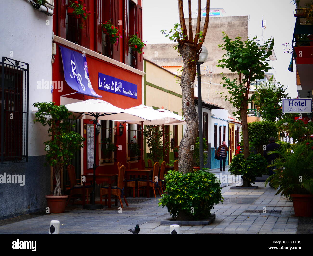 Espagne iles canaries Ténérife puerto de la Cruz trimestre Pêche Banque D'Images