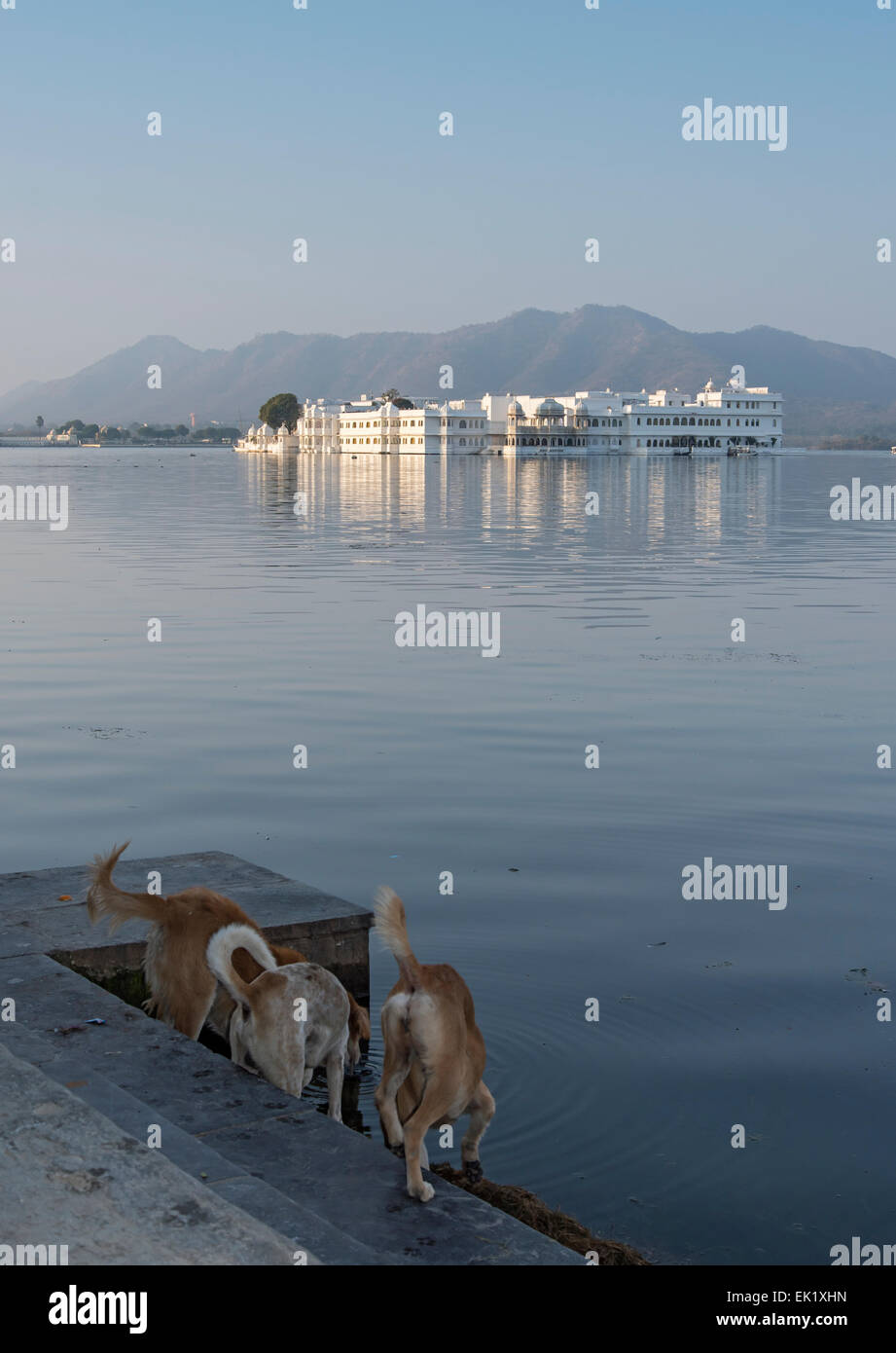 Lake Palace sur le lac Pichola, Udaipur, Rajasthan, Inde Banque D'Images