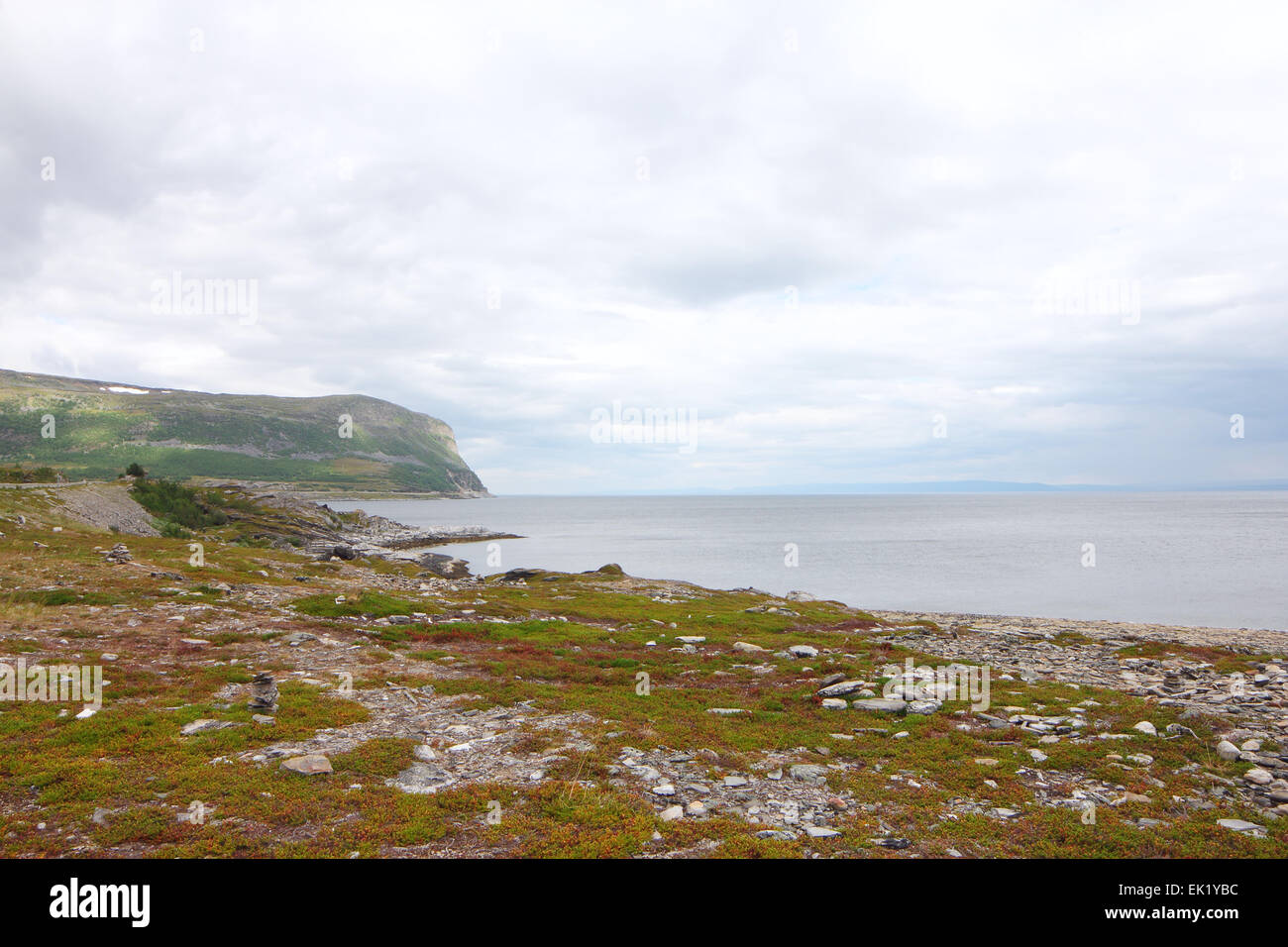 Paysage norvégien du nord avec les fjords, montagnes et sur la rive avec moss Banque D'Images