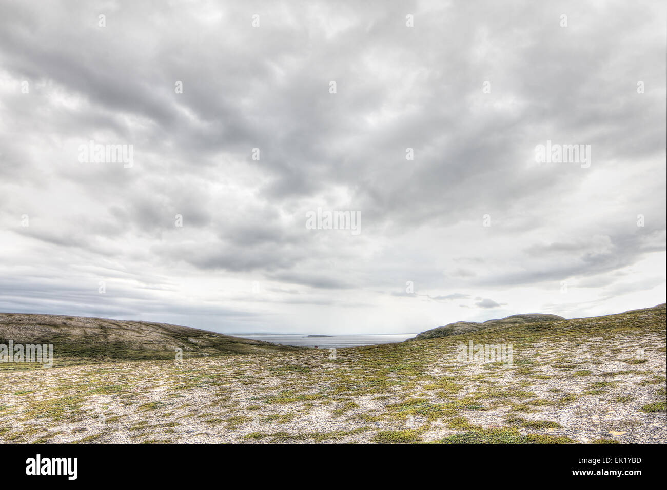 Paysage norvégien du nord avec les fjords, montagnes et sur la rive avec moss Banque D'Images
