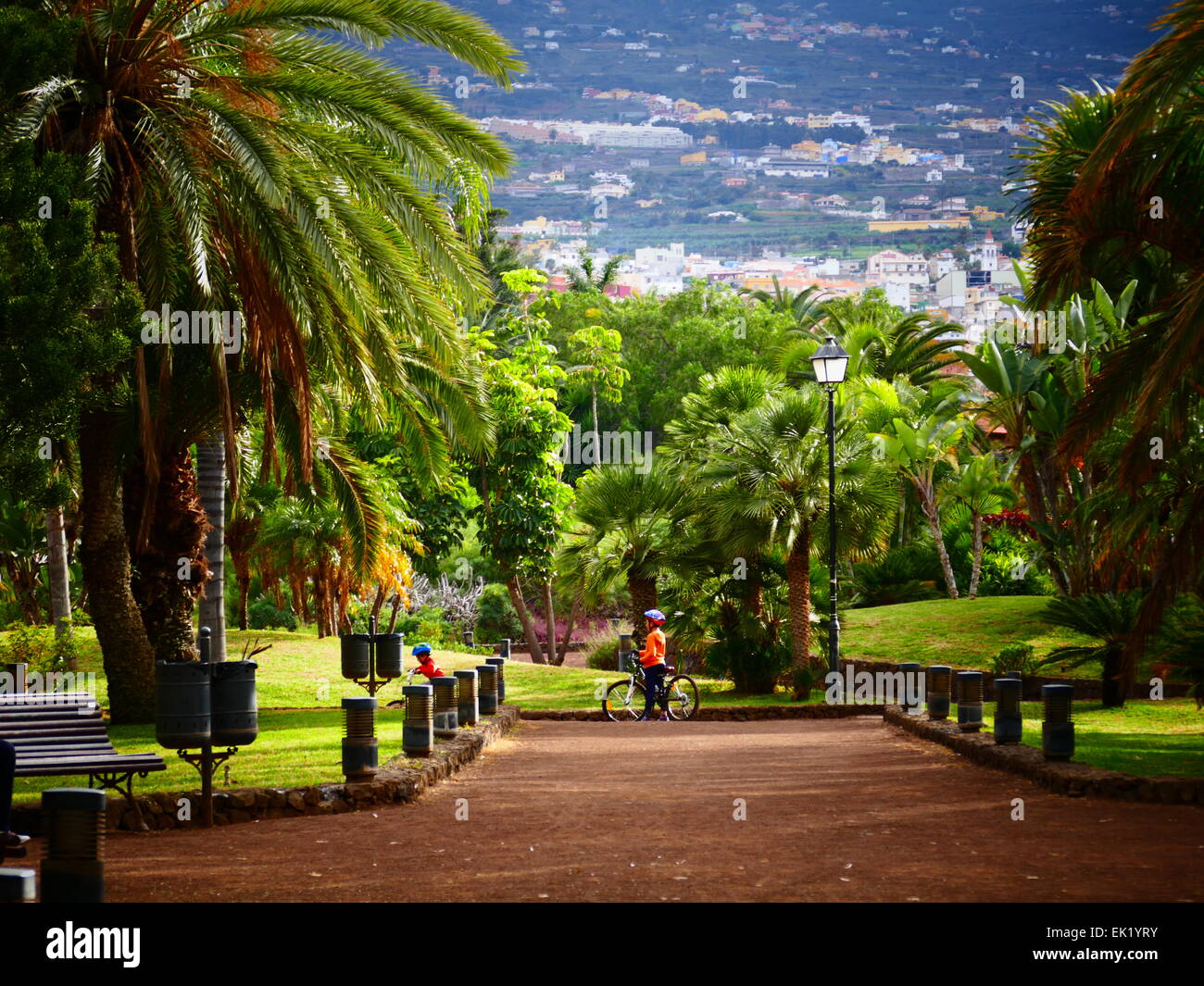 Espagne iles canaries Ténérife puerto de la Cruz Parc Taoro Banque D'Images