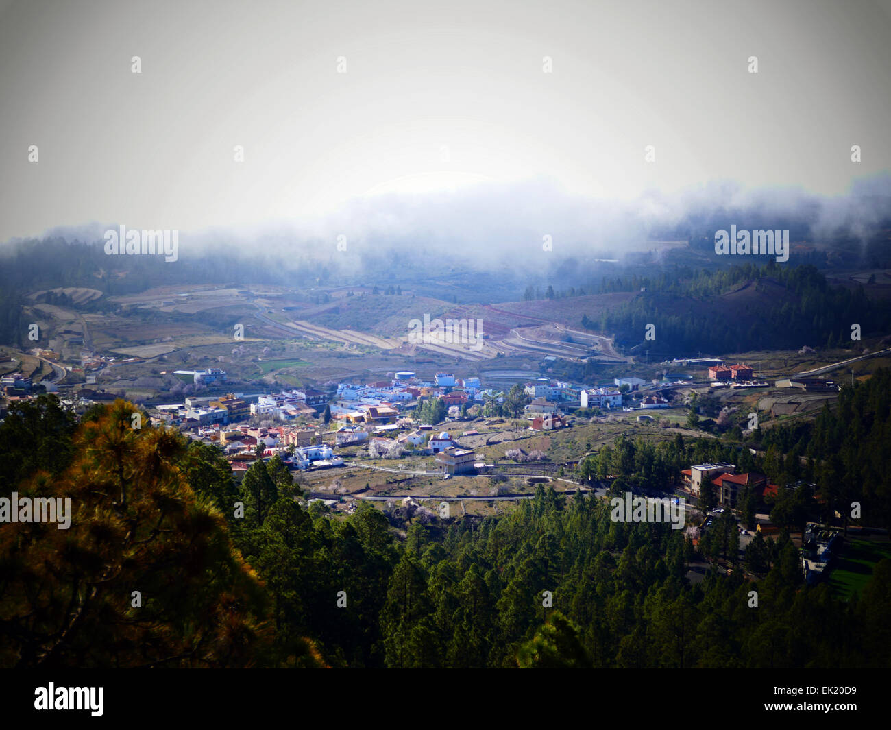 Espagne iles canaries Ténérife cloud Vilaflor Banque D'Images