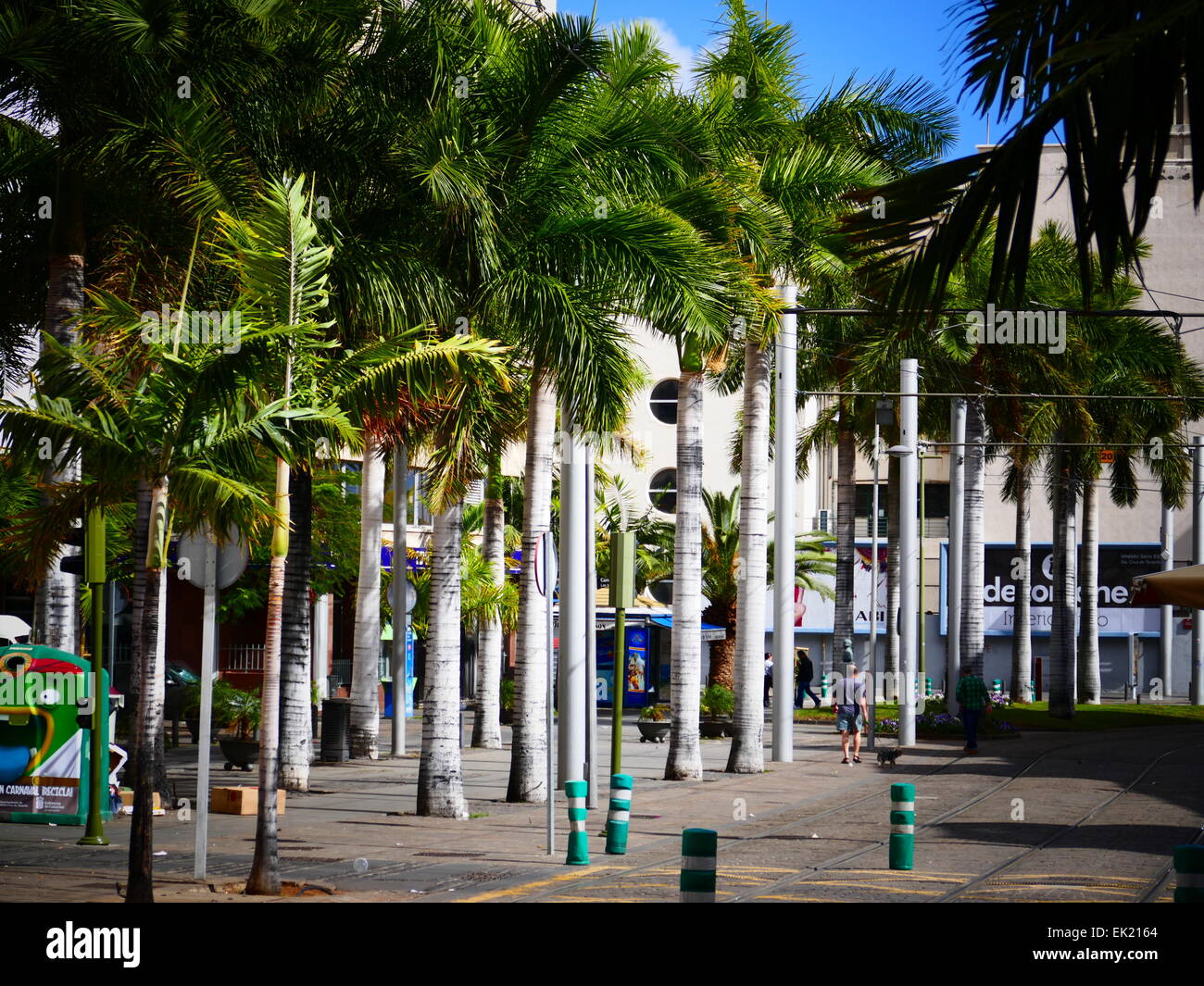 Vieille Ville centre-ville de Santa Cruz de la île de Tenerife Îles Canaries Espagne Banque D'Images