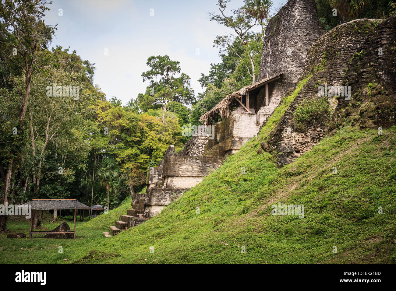 Plaza de los Siete templos (Place des sept temples), Tikal, Guatemala Banque D'Images