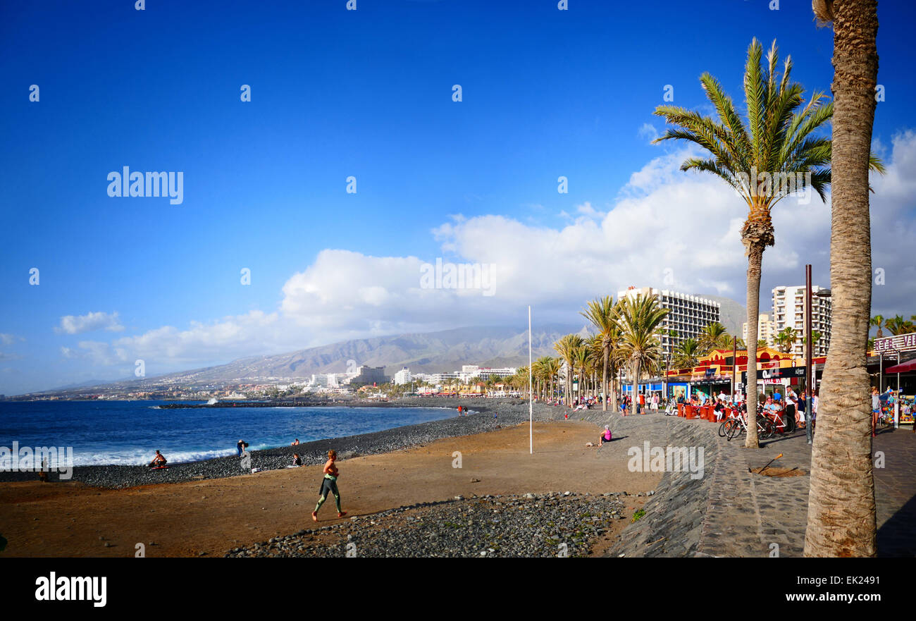 Las Americas Beach promenade de palmiers de l'île de Tenerife Îles Canaries Espagne Banque D'Images