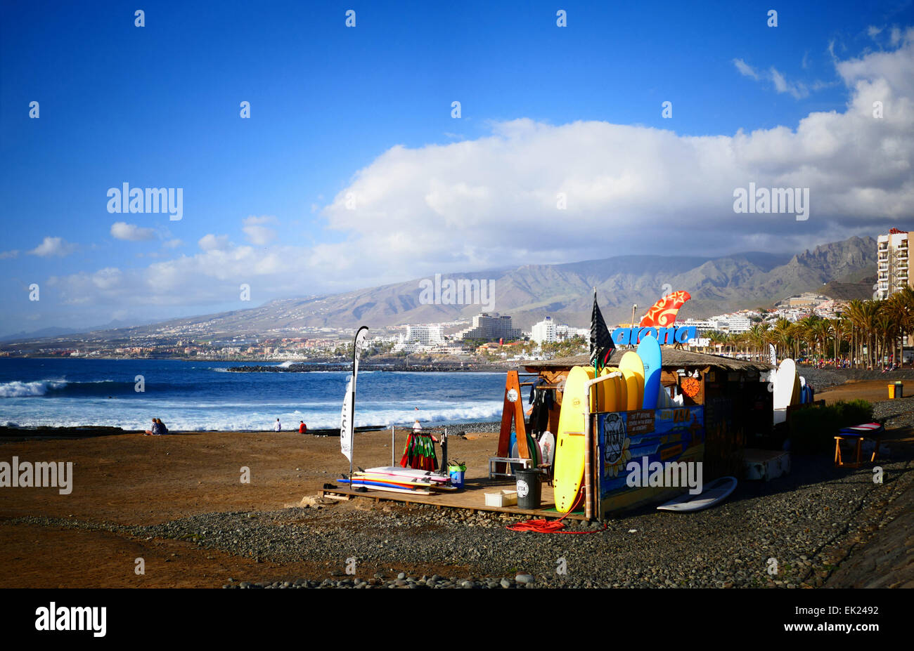 Las Americas Beach promenade de palmiers de l'île de Tenerife Îles Canaries Espagne Banque D'Images