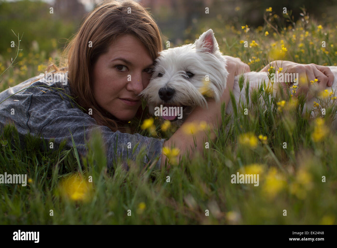 Une jeune femme épouse son chien, un Westie (West Highland Terrier). Banque D'Images