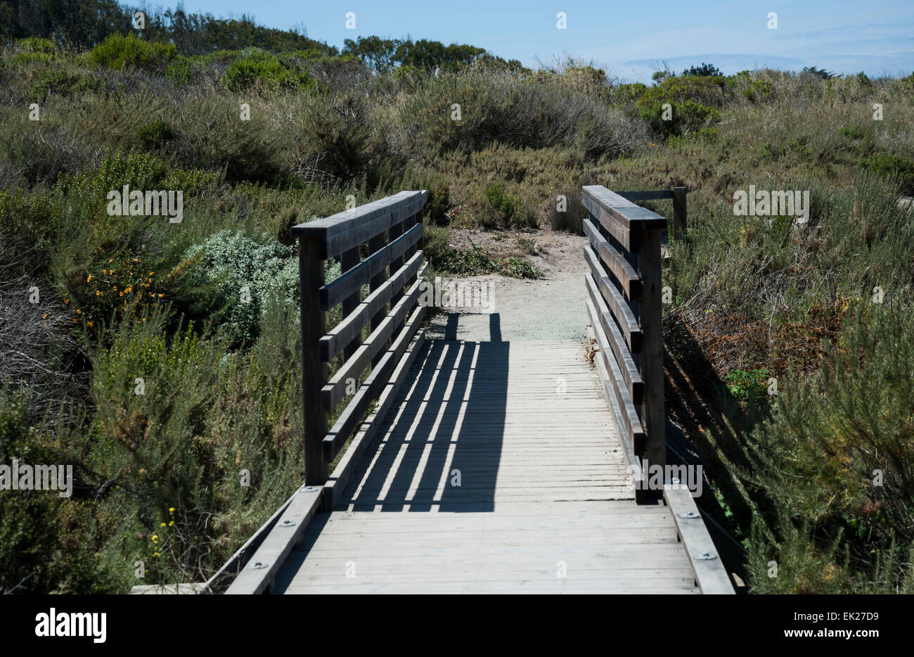 Pont piéton, Morro Strand State Park Banque D'Images