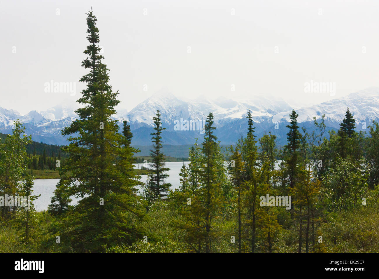 Le mont McKinley avec Wonder Lake, le parc national Denali, Alaska, USA Banque D'Images