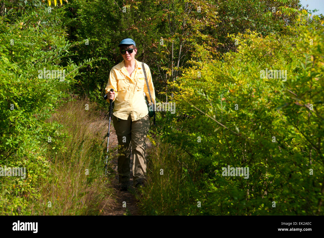 Regicides Trail, West Rock Ridge State Park, New York Banque D'Images