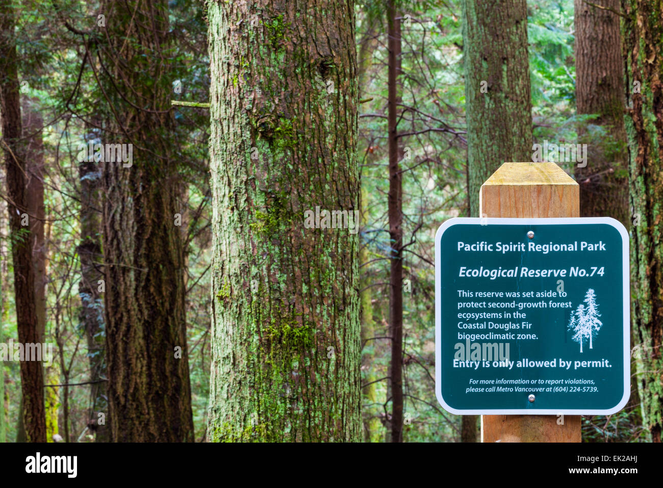 Zone de protection écologique au parc Pacific Spirit, Vancouver Banque D'Images