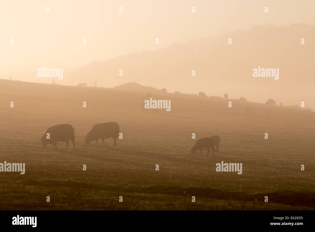 Aberystwyth, Pays de Galles, Royaume-Uni. 06 avril 2015. Météo, UK. Après une glorieuse Dimanche de Pâques la sea mist couvre les collines autour de Aberystwyth au lever du soleil sur les vacances de banque lundi Crédit : Jon Freeman/Alamy Live News Banque D'Images
