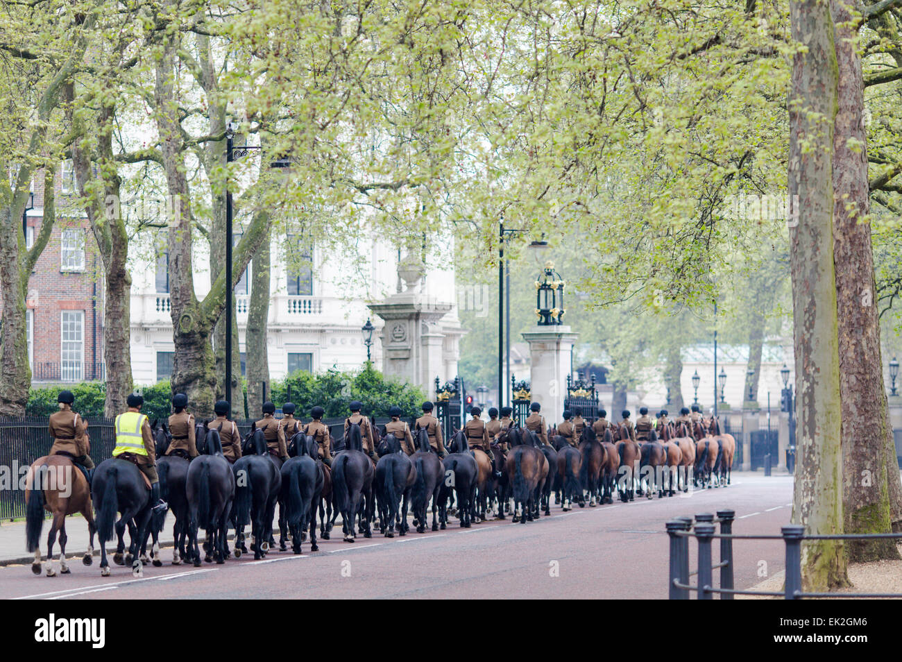 Chevaux Horse Guards, Cage à oiseaux, London Banque D'Images