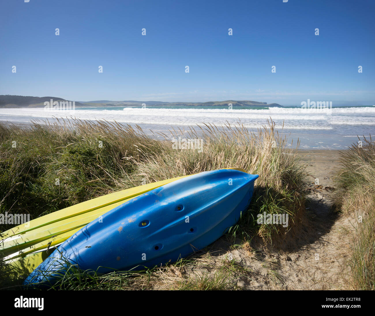 Curio bay beach, Catlins, île du Sud, Nouvelle-Zélande. Banque D'Images