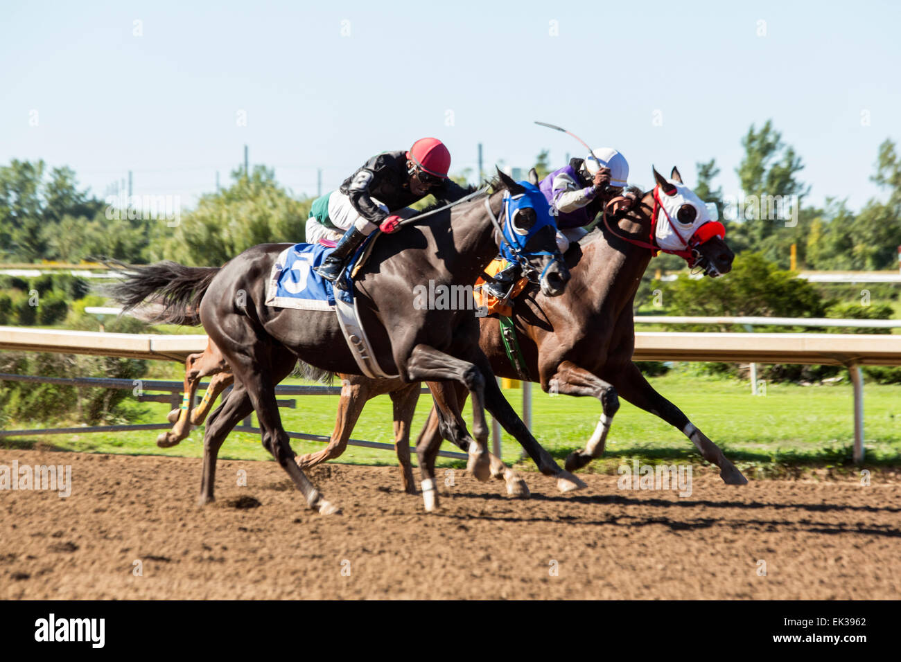 Canada,Ontario,Fort Erie, Fort Erie Race Track, course de chevaux Banque D'Images