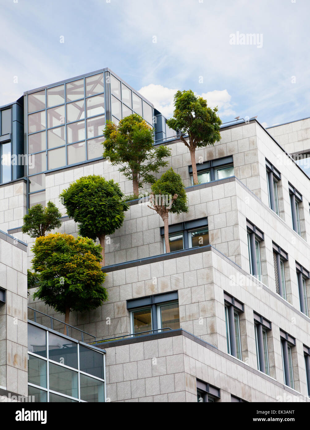 Les arbres croissant sur un toit du centre d'affaires, la solution des problèmes de l'environnement Banque D'Images