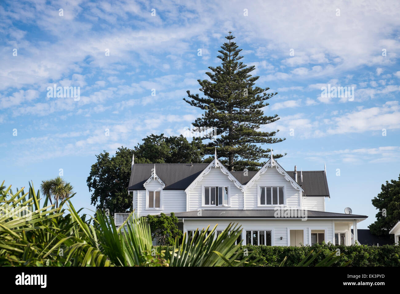 Maison de style victorien en bois avec pine tree Hill à Napier, Nouvelle-Zélande Banque D'Images Maison de style victorien en bois avec pine tree Hill à Napier, Nouvelle-Zélande Banque D'Images