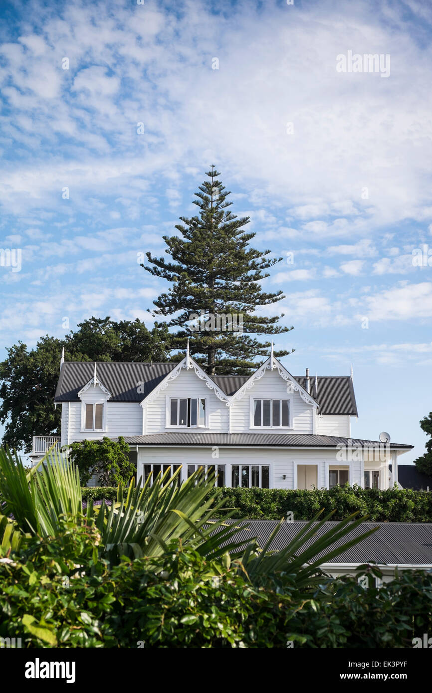 Maison de style victorien en bois avec pine tree Hill à Napier, Nouvelle-Zélande Banque D'Images Maison de style victorien en bois avec pine tree Hill à Napier, Nouvelle-Zélande Banque D'Images