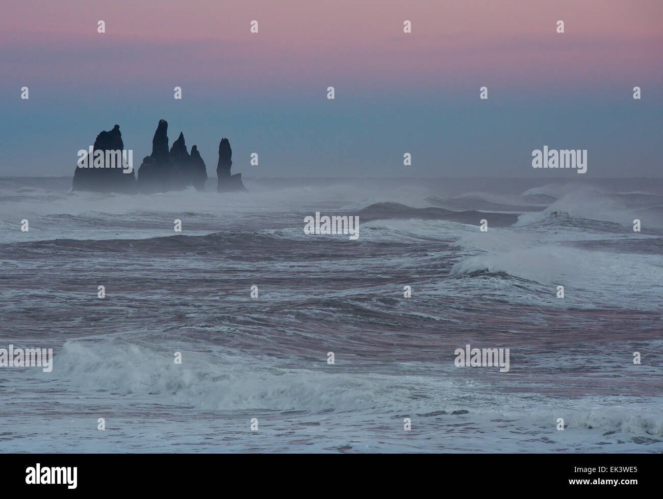 Les piles de la mer debout fier dans la lumière du soir et une mer autour de Vik, sur la côte sud de l'Islande Banque D'Images