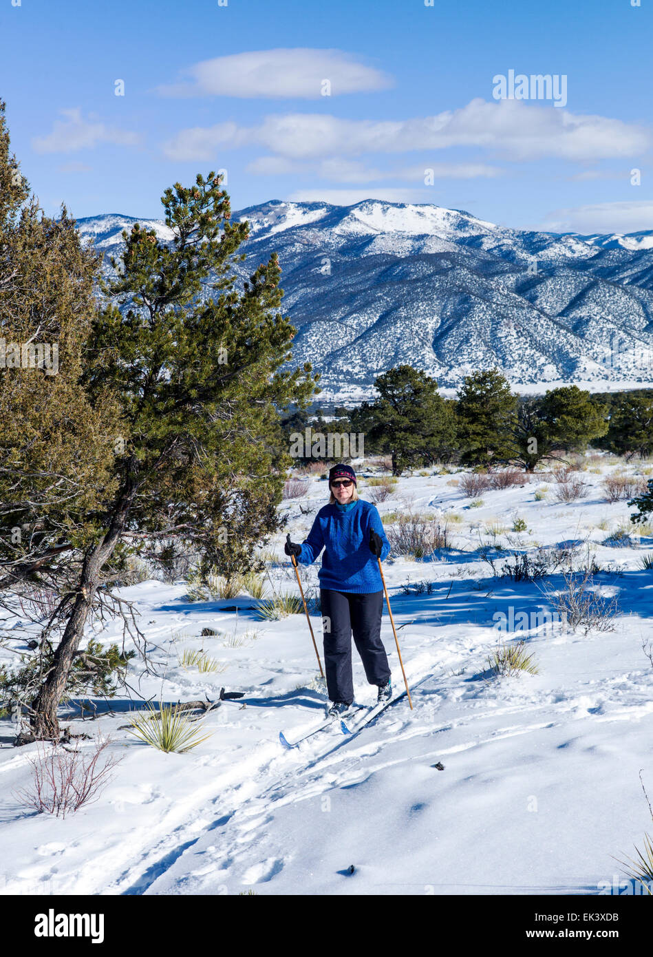 Femme ski, claire journée d'hiver, le centre du Colorado, USA Banque D'Images