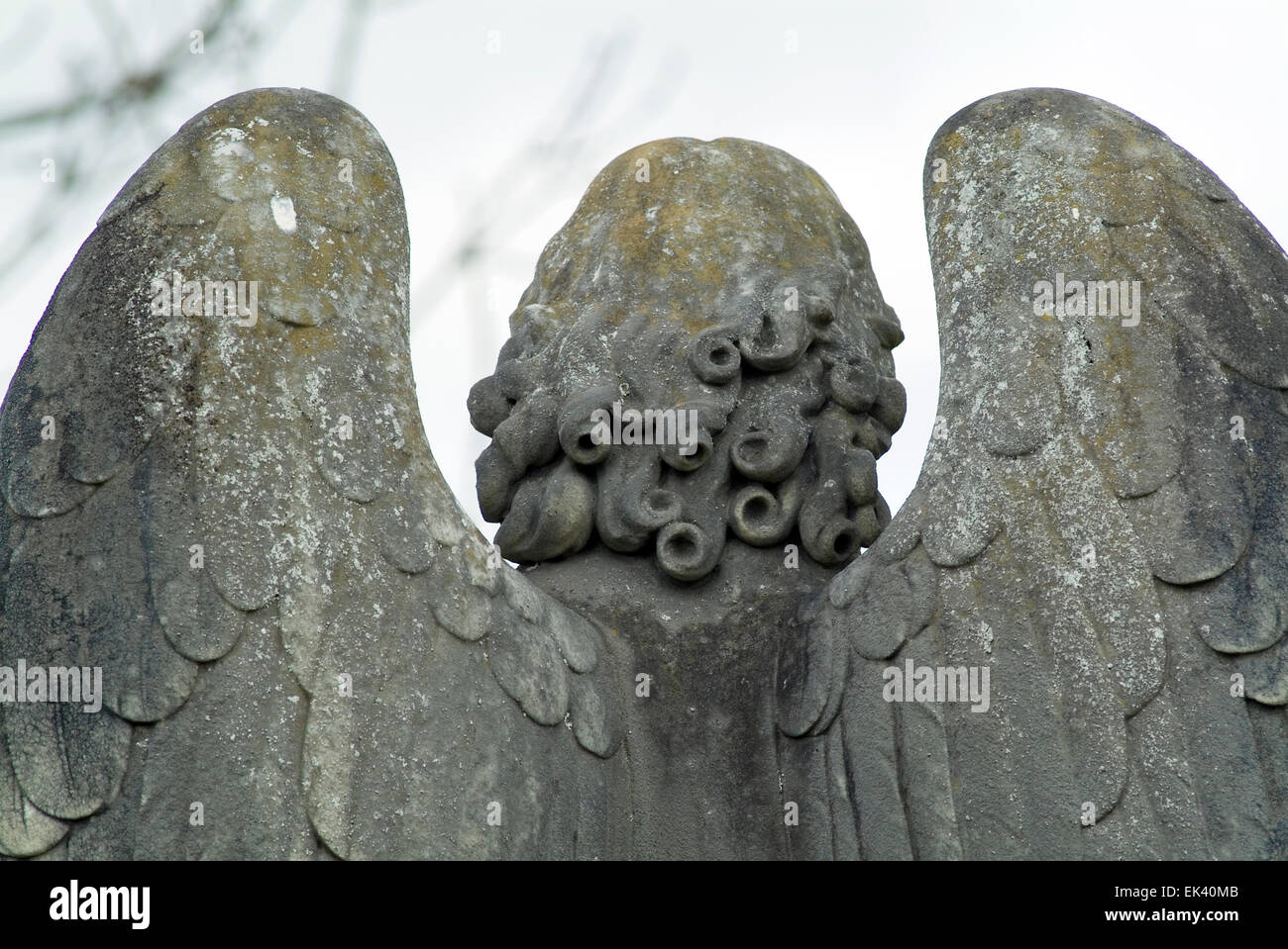 Ange avec ailes de derrière sur un cimetière Banque D'Images