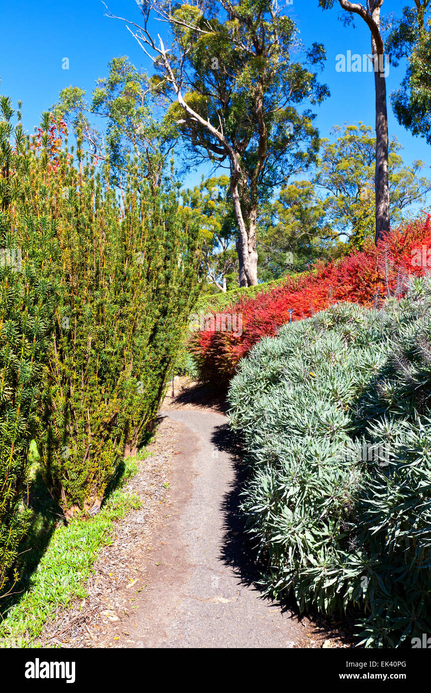 Jardins Botaniques Mt Lofty Adelaide Hills Australie Australie du Sud paysages paysage attractions attraction touristique d'automne Banque D'Images