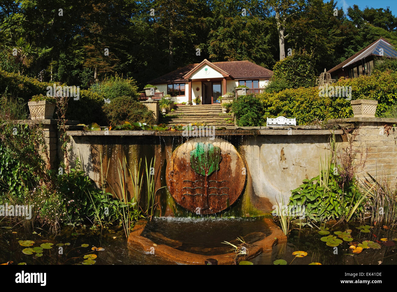 Jardins de pins, St Margaret's at Cliffe, St Margarets Bay, Dover, White Cliffs Country, Kent, Angleterre, Royaume-Uni Banque D'Images