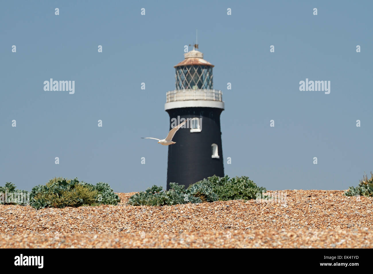 Le vieux phare, Dungeness, Kent, Angleterre, Royaume-Uni Banque D'Images