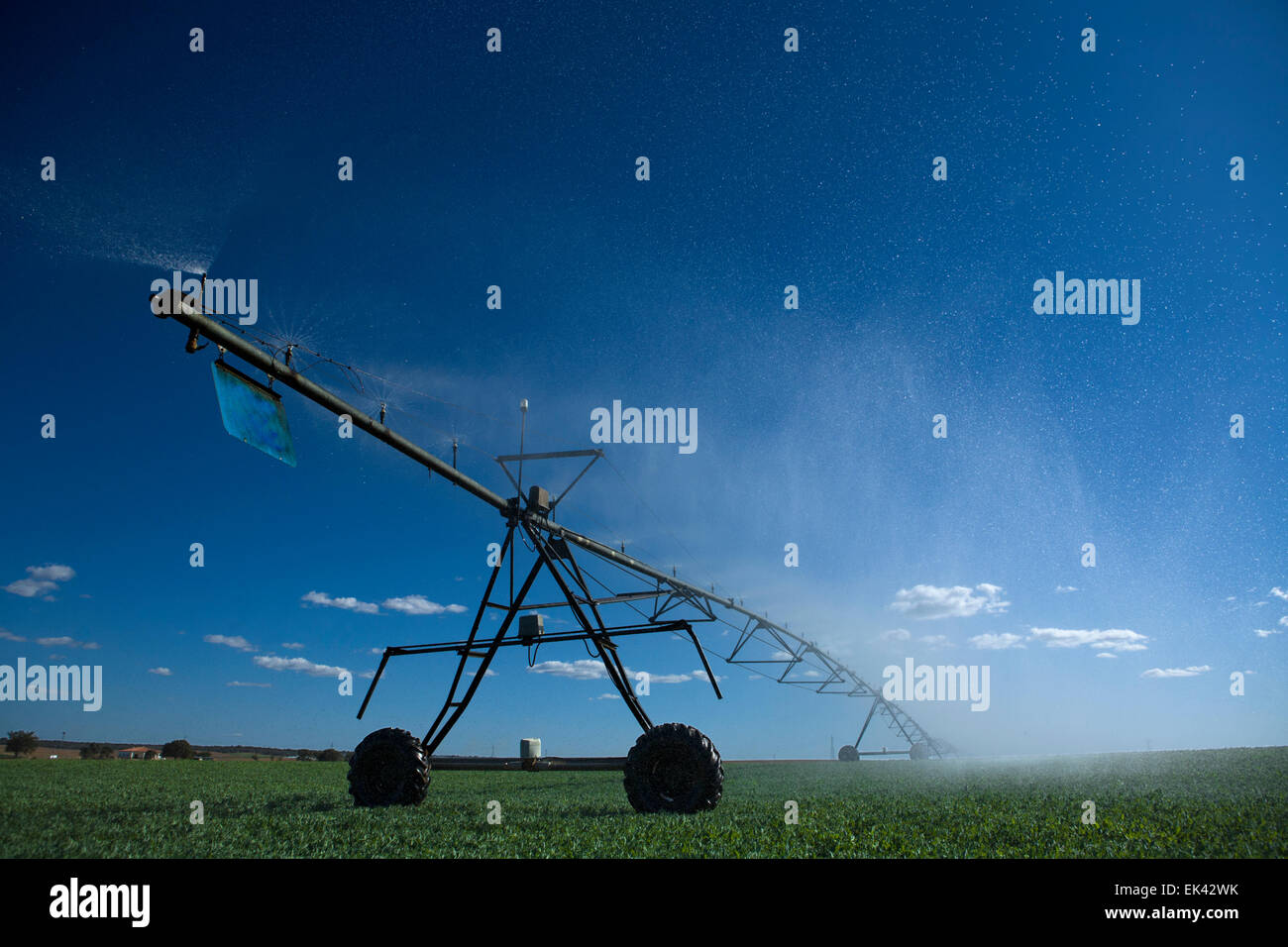 L'irrigation à pivot central est une forme de l'irrigation par aspersion composé de plusieurs segments de tuyau (généralement de l'acier galvanisé ou al Banque D'Images