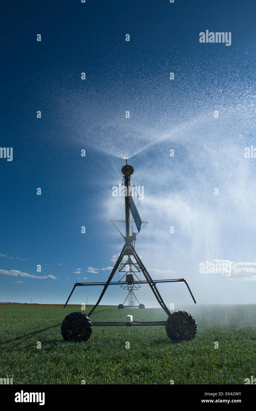 L'irrigation à pivot central est une forme de l'irrigation par aspersion composé de plusieurs segments de tuyau (généralement de l'acier galvanisé ou al Banque D'Images
