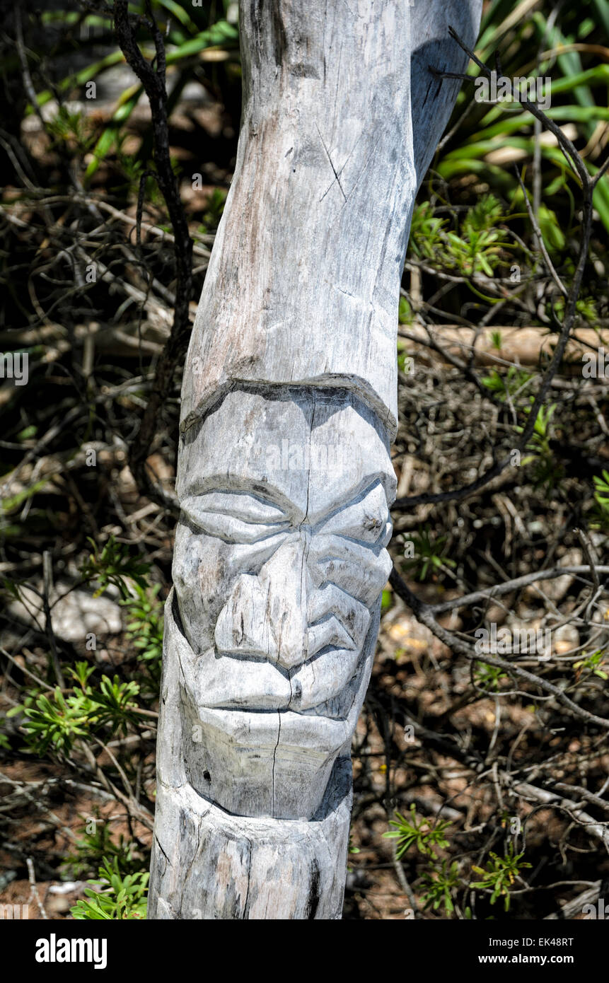 Sculpture sur bois traditionnelle d'un visage ; l'art indigène ; sculpture en bois ; poster ; pôle ; spiritualité, spiritueux Banque D'Images