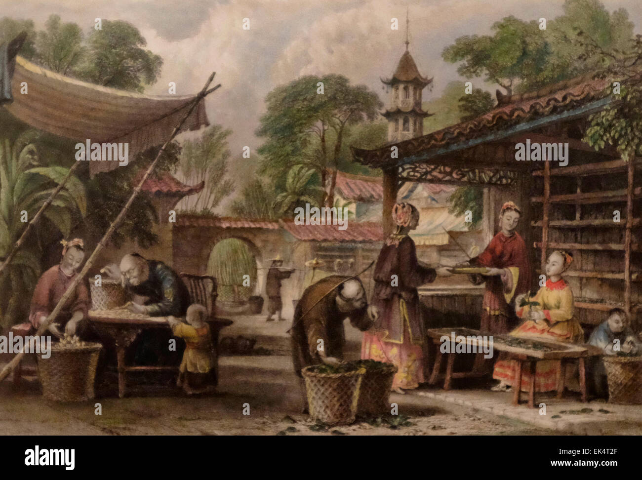 Nourrir les vers à soie et le tri des cocons, Chine 19e siècle Banque D'Images