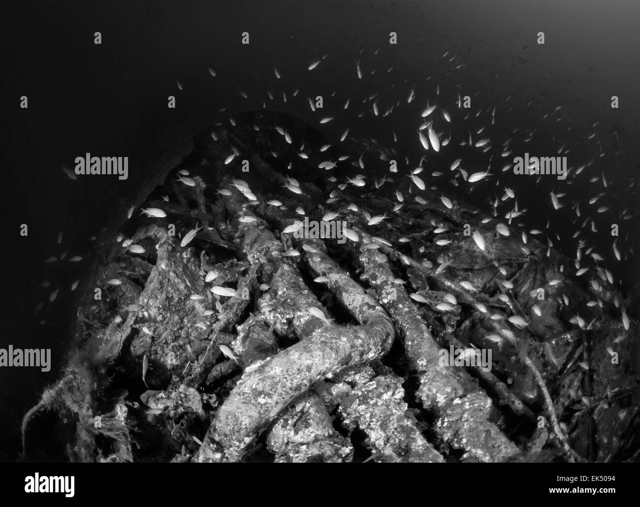 Mer Méditerranée, Sardaigne, U.W. photo, épaves, monde englouti sous