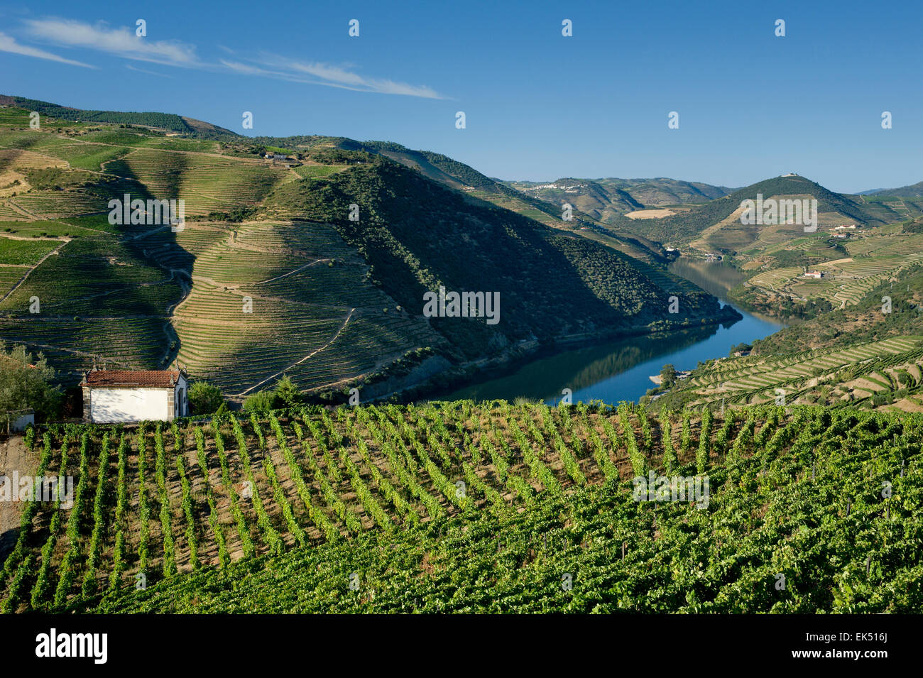Une petite chapelle et d'une terrasse couverte de vigne entre Régua et Whitehouse, la Vallée du Douro, Portugal Banque D'Images