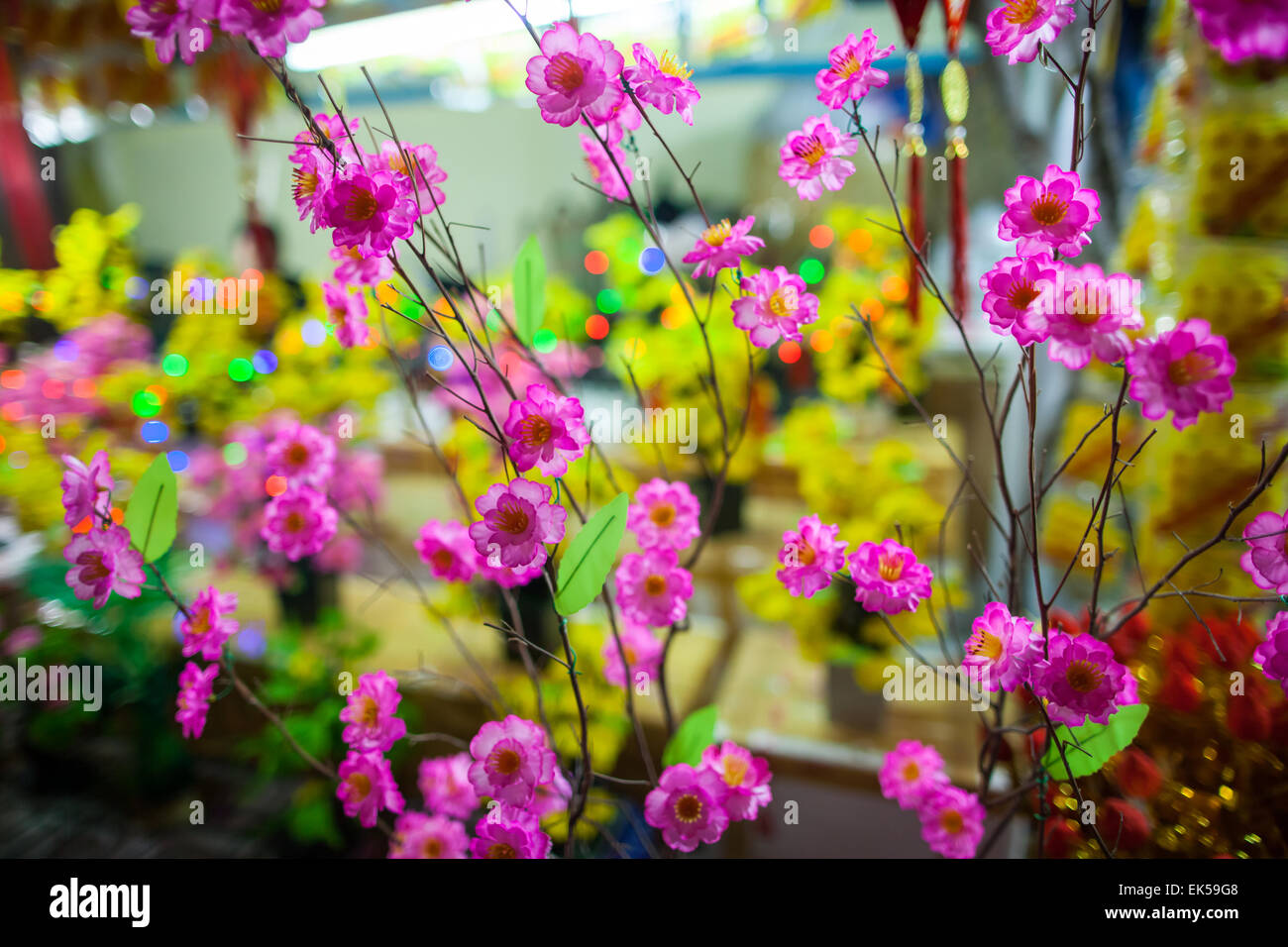 Fleurs nouvel an traditionnel vietnamien avec bokeh fond papier peint Banque D'Images