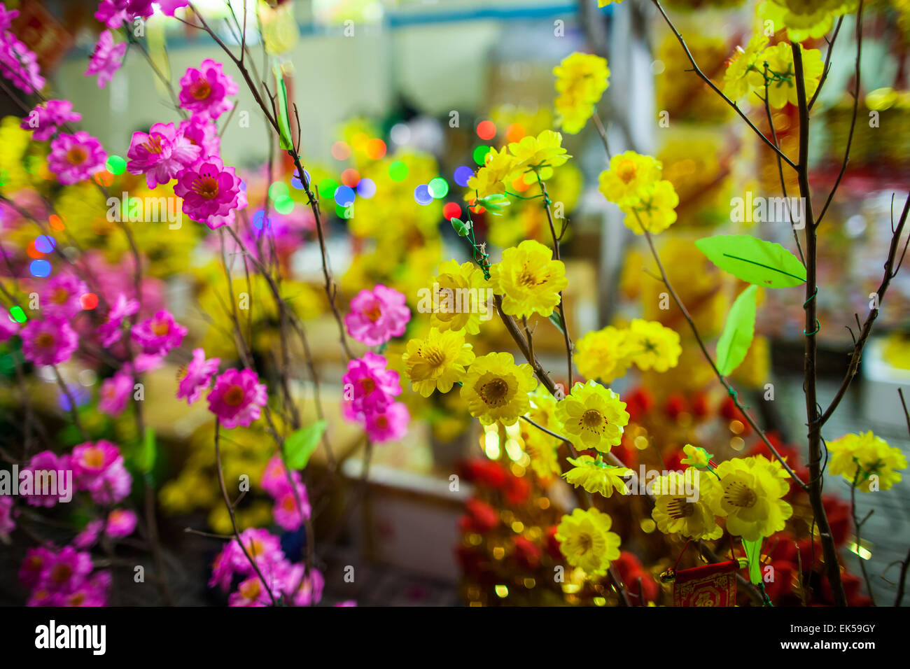 Fleurs nouvel an traditionnel vietnamien avec bokeh fond papier peint Banque D'Images